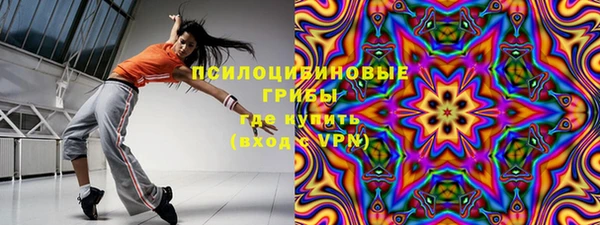spice Арсеньев