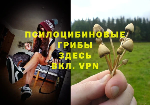 spice Арсеньев