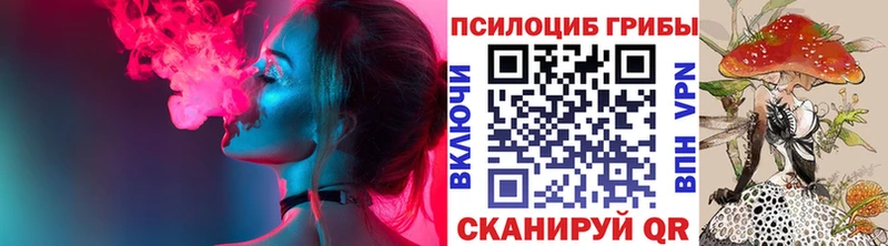 Псилоцибиновые грибы Psilocybe гидра онион Краснодар закладка